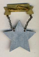 cca "Kiváló Műszaki Dolgozó" kitüntetés eredeti dísztokban, mini nélkül T:2- zománc sérült