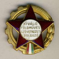 cca 1960. "Kiváló Földműves Szövetkezeti Dolgozó" kitüntetés dísztokban T:2
