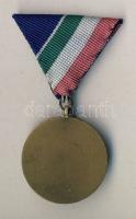 cca 1970. Árvízvédelemért járó kitüntetés mellszalaggal eredeti dobozában T:2