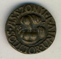 cca 1990. Asszonyi Tamás Br névjegyérme T:2