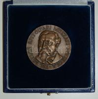 DN. Ybl Miklós Építőipari Műszaki Főiskola bronz emlékplakett eredeti dísztokban! T:1