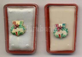 DN "Törzsgárda" jelvény arany és ezüst fokozata műanyag tokban T:1