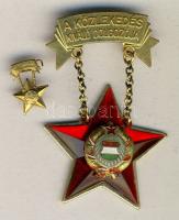 DN. "A közlekedés kiváló dolgozója" kitüntetés miniatűrrel, eredeti dísztokban! T:1-