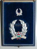 DN. "Érdemes Sportoló" ezüst kitüntetés miniatűrrel eredeti dísztokban! T:2 (ezüstözési lekopás)