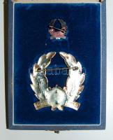 DN. "Érdemes Sportoló" ezüst kitüntetés miniatűrrel eredeti dísztokban! T:2 (ezüstözési le...