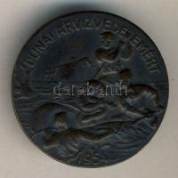 1954. Dunai Árvízvédelemért bronz jelvény T:2