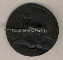 1954. Dunai Árvízvédelemért bronz jelvény T:2