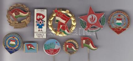 ~1960. A Magyar Népköztársaság úttörőinek 10db klf jelvénye T:2,3