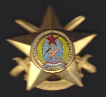 DN. Haditorna aranyfokozat jelvény T:2