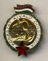 DN. "Kohászat Kiváló Dolgozója" jelvény T:2