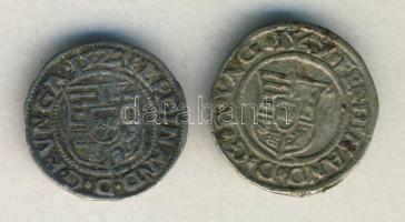 I. Ferdinánd ~1540. Dénár Ag (2x) T:2,2-