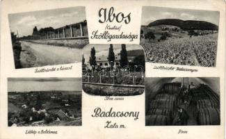 Badacsony Ibos szőlőgazdaság