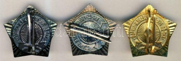 DN. "Katonai és Politikai Kiképzésben Kiváló" jelvény arany, ezüst és bronz variánsa T:2
