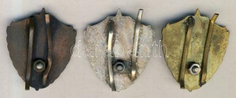 DN. "Tanintézeti / Egység Bajnokság" jelvény három klf variánsa T:2