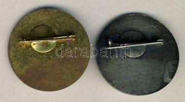 DN. "Kiváló / Élenjáró Növendék" jelvények T:2