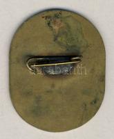 DN "Belügyi Dolgozók Szakszervezete" Br kitűző T:2