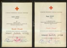 1980. 15. és 20. véradás után járó "Kiváló véradó" kitüntetés ezüst és arany fokozata ered...