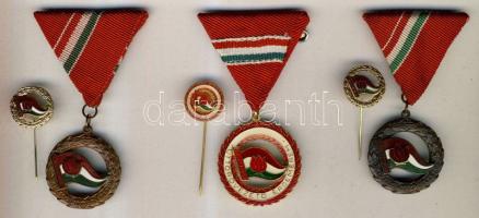 cca 1980. 2db "Előre" Kiváló Úttörővezető kitüntetés miniatűrrel eredeti dísztokban + "Úttörővezető Érdemérem mellszalaggal miniatűrrel eredeti dísztokban T:2+,2