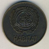 1987. "Hajléktalanok Nemzetközi Éve" Br emlékplakett (d=55mm) T:1-