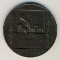 1910. "Nemzetközi Fényképkiállítás-Budapest" Br emlékérem T:2