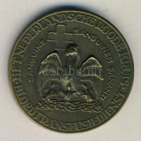 Hollandia DN "Prof. Dr. Karl Landsteiner-holland vöröskereszt Br emlékérem t:2 / Netherlands ND "Prof. Dr. Karl Landsteiner-Dutch Red Cross" Br medallion T:2