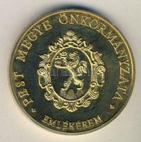 DN. Pest Megye Önkormányzata aranyozott ffém emlékérem (d=65mm) T:1-