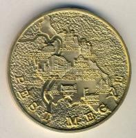 DN. Pest Megye Önkormányzata aranyozott ffém emlékérem (d=65mm) T:1-