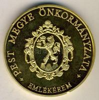 DN. Pest Megye Önkormányzata aranyozott ffém emlékérem (d=65mm) T:1