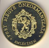 DN. Pest Megye Önkormányzata aranyozott ffém emlékérem (d=65mm) T:1