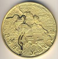 DN. Pest Megye Önkormányzata aranyozott ffém emlékérem (d=65mm) T:1