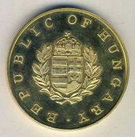 DN. Nemzeti testnevelési és sport iroda aranyozott ffém emlékérem (d=65mm) T:1