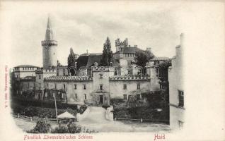 Bor (Haid) Löwenstein castle