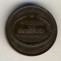 Hollandia 1849. "III.Vilmos király-Alkotmány" Br emlékérem T:2 ph. / Netherlands 1849. "William III.-Constitution" Br commemorative coin T:2 ph.