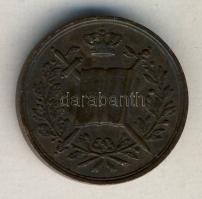 Hollandia 1849. "III.Vilmos király-Alkotmány" Br emlékérem T:2 ph. / Netherlands 1849. &qu...