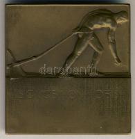 DN "Bókay Árpád-Sic Vos Non Vobis" szögletes Br emlékplakett 62x64mm szign.:Vágó Dezső T:2