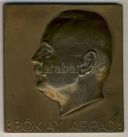 DN "Bókay Árpád-Sic Vos Non Vobis" szögletes Br emlékplakett 62x64mm szign.:Vágó Dezső T:2