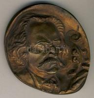 1980. "Goldmark Károly MÉE-Keszthely" nagyalakú Br plakett 90mm T:2