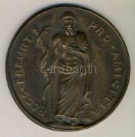 DN "Pécs-Erfurt Pro Amicitia" Br emlékplakett (d=85mm) T:2