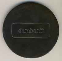 DN "Pécs-Erfurt Pro Amicitia" Br emlékplakett (d=85mm) T:2