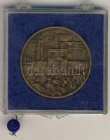 979. "Magyar Tanácsköztársaság 60. évfordulója" matt Br emlékérem eredeti plombált műanyag...