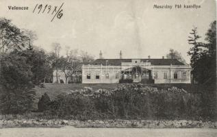 Velence Meszlény Pál kastélya (cut)