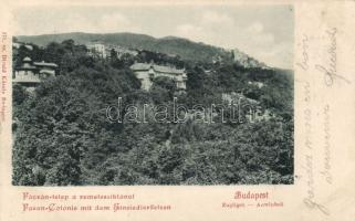 Budapest XII. Zugliget Fácántelep, Divald