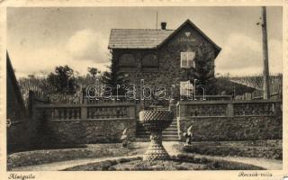 Alsógalla Recsák-villa (EM)