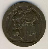 1910. "Országos Magyar Kertészeti Egyesület Budapesten 1885." Br érem szign.:Betlen Gy T:2