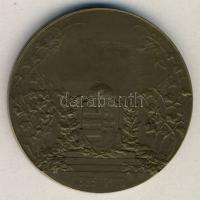 1910. "Országos Magyar Kertészeti Egyesület Budapesten 1885." Br érem szign.:Betlen Gy T:2