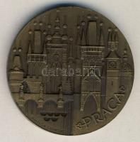 Csehszlovákia 1978. "XII. Atlétika EB Prága" Br emlékérem szign.: V.Housa S.Bursik T:2 / C...