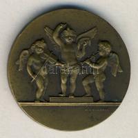 DN Szépen kidolgozott Br emlékérem szign.: J. Lagrange T:2