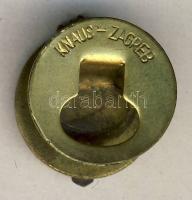 Jugoszlávia DN zománcozott partizán jelvény T:2 / Yugoslavia ND partisan enamelled badge T:2