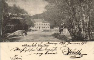 1899 Pozsony Vaskutacska castle (small tear)