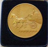 Németország DN. Gyűjtői fém emlékérem eredeti tokban (d=60mm) T:1